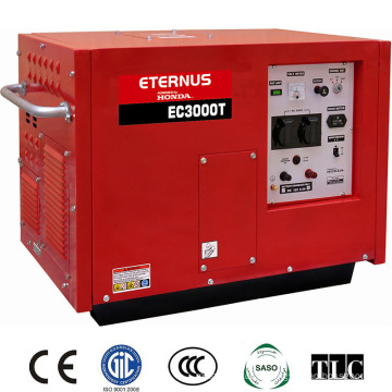 Alternateurs de brosse complexes 3kVA (EC3000T)